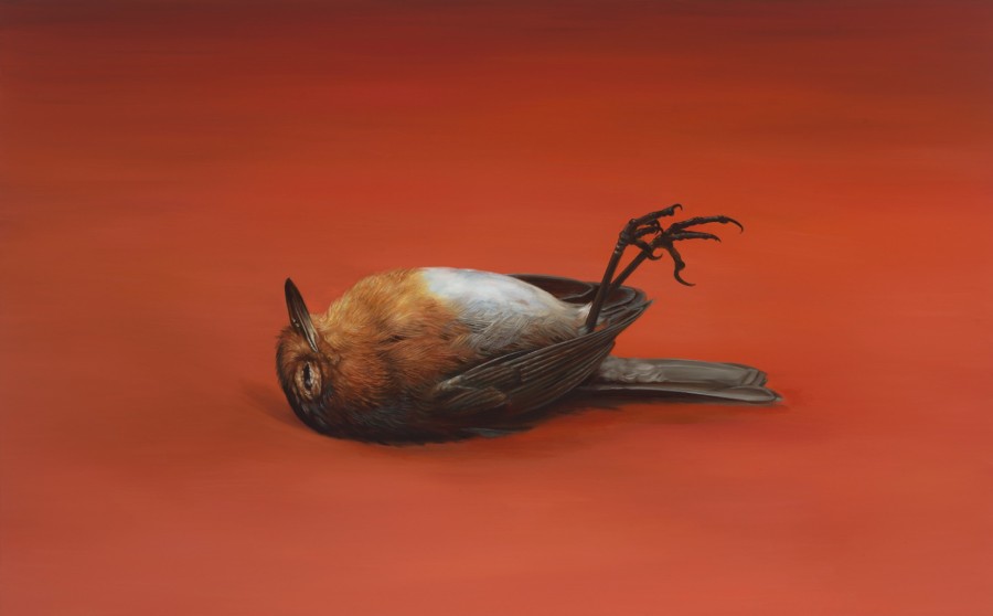 Schilderij van een dood roodborstje op een roodoranje achtergrond 